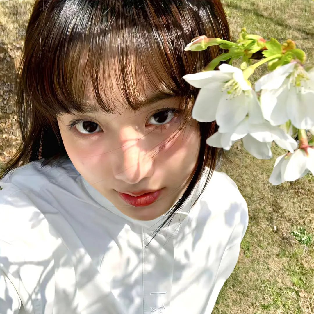 兔仙王妃